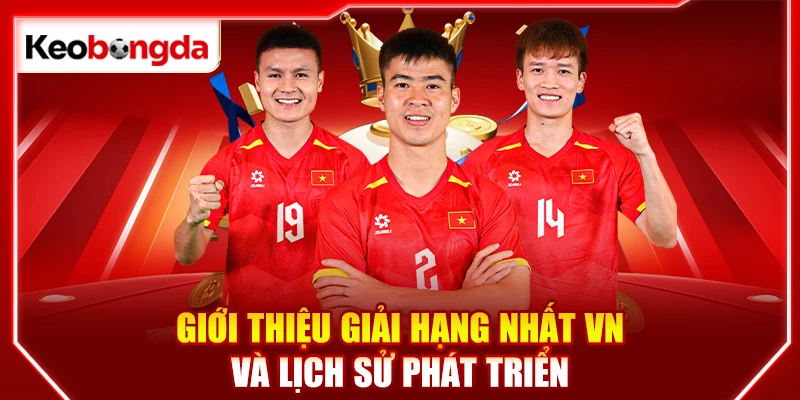 Giới thiệu giải Hạng Nhất VN và lịch sử phát triển
