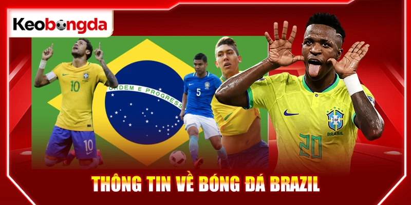Thông tin về bóng đá Brazil